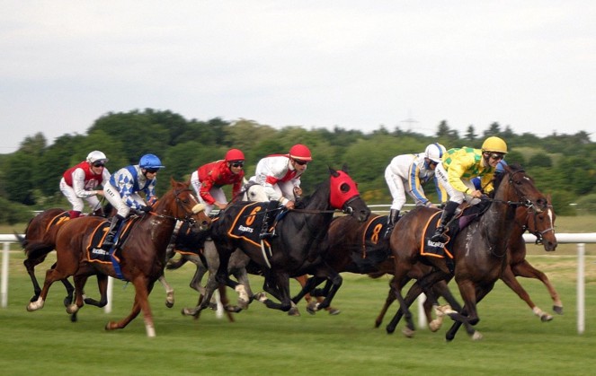 Bet365 Pferdewetten